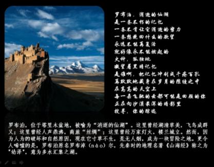 网球公开赛